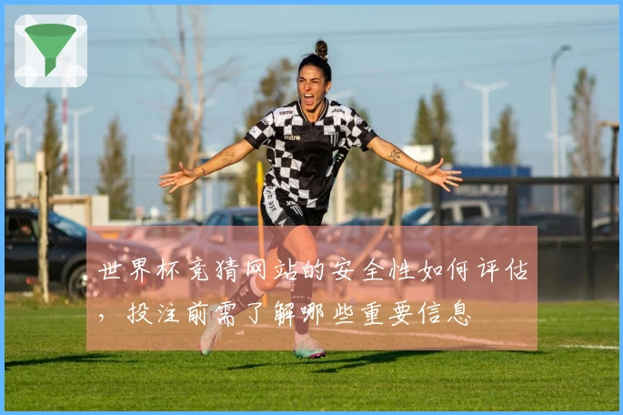 世界杯竞猜网站的安全性如何评估，投注前需了解哪些重要信息