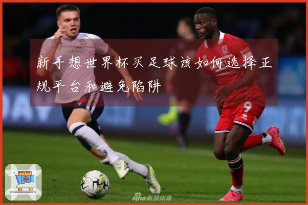 新手想世界杯买足球该如何选择正规平台和避免陷阱