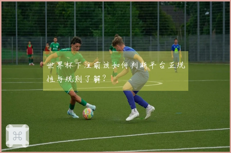 世界杯下注前该如何判断平台正规性与规则了解?