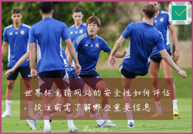 世界杯竞猜网站的安全性如何评估,投注前需了解哪些重要信息