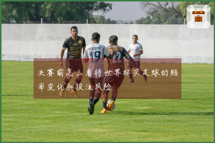 决赛前怎么看待世界杯买足球的赔率变化和投注风险