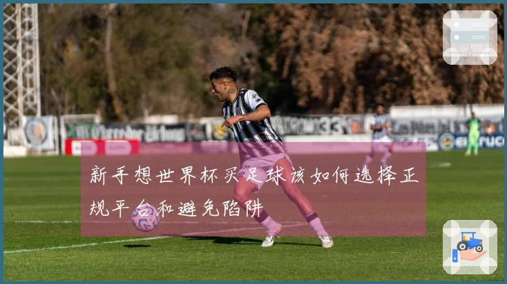 新手想世界杯买足球该如何选择正规平台和避免陷阱